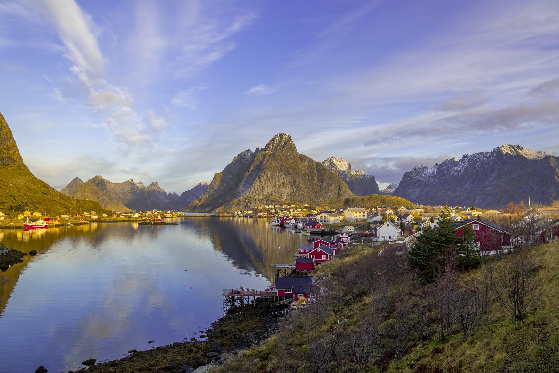 Reine